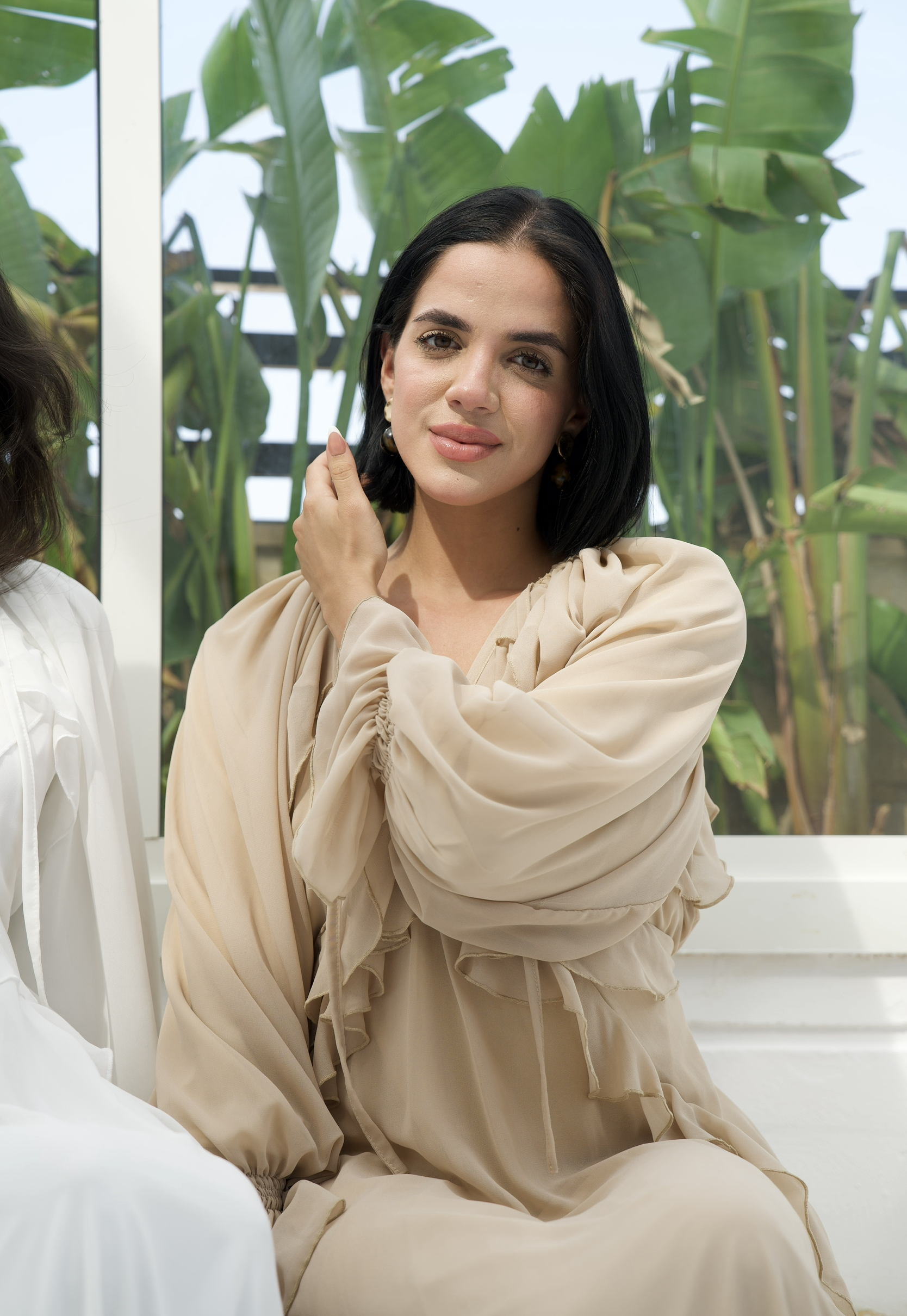 Ruffles chiffion dress