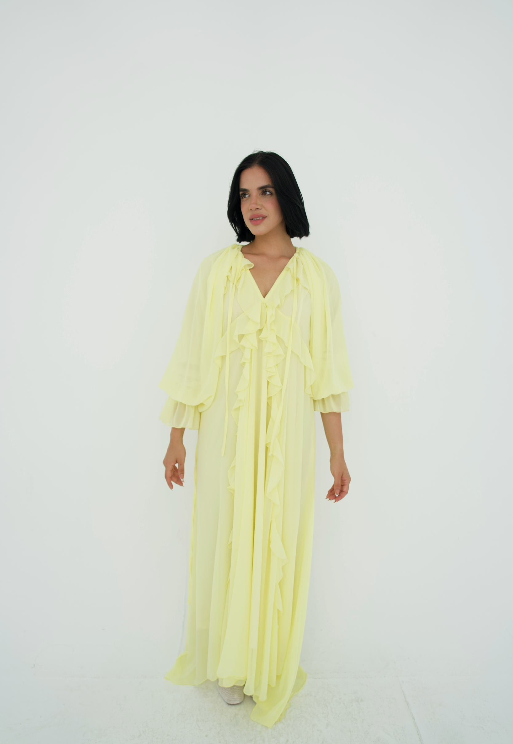 Ruffles chiffion dress